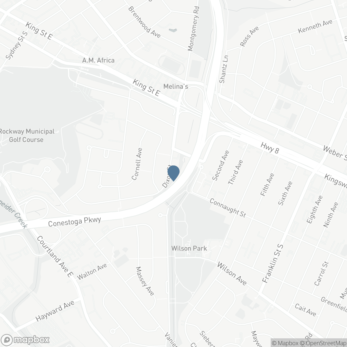 119 DIXON STREET, Kitchener, Ontario N2G 3E8